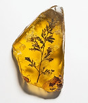 Relaciones Públicas